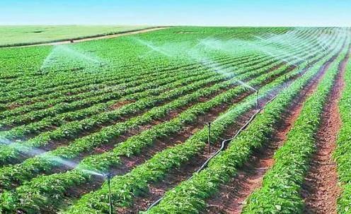 看女人艹逼视频农田高 效节水灌溉
